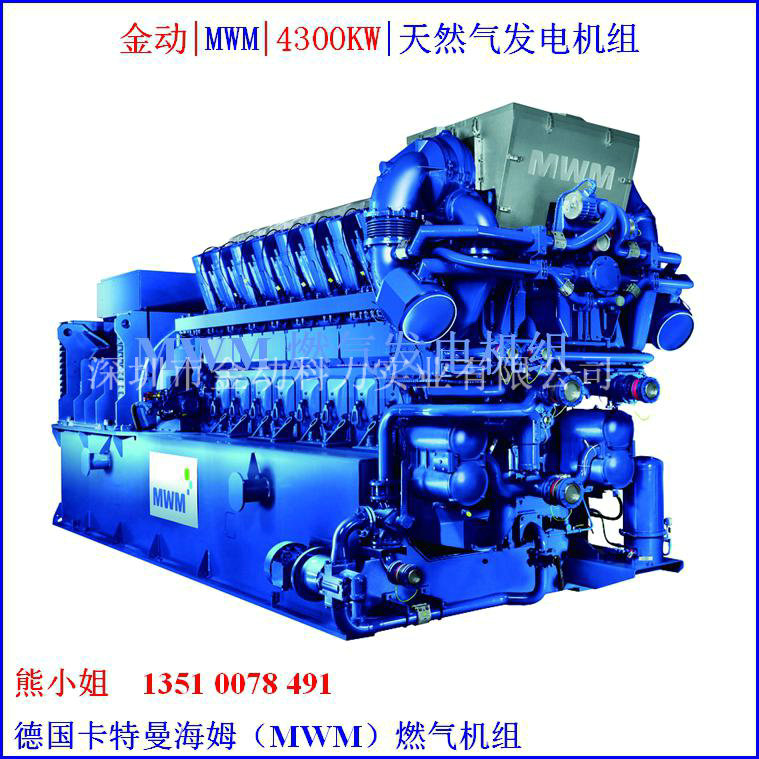 【出口氣體發電機】深圳金動助力電力市場