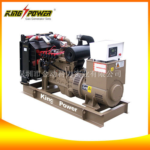 【頁巖氣發(fā)電機(jī)廠家】“能源”代表著實(shí)力!