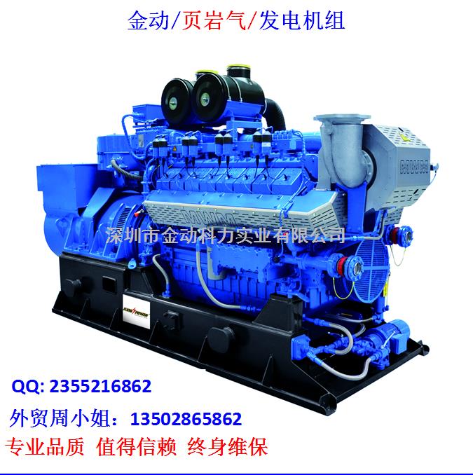 【深圳頁巖氣發(fā)電機(jī)】 發(fā)展趨勢(shì)無懈可擋!