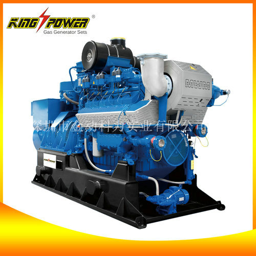 【生物質氣發電機組生產商】給你不一樣的激情！