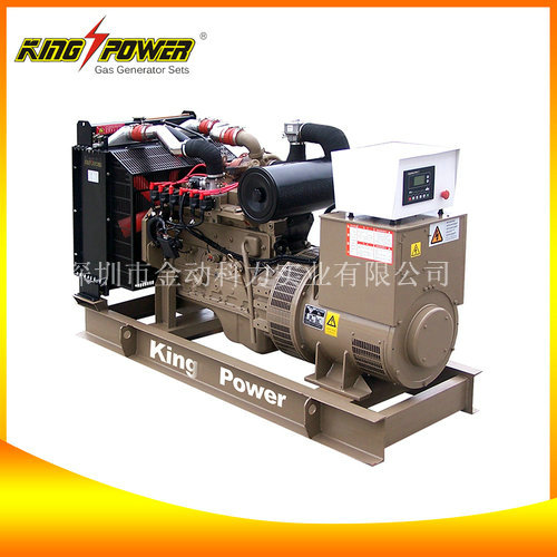 【頁巖氣發電機廠家】為我國增加新資源！